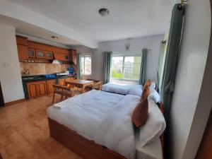 Kuchyň nebo kuchyňský kout v ubytování Eco Inn Guest House