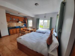 Kuchyň nebo kuchyňský kout v ubytování Eco Inn Guest House