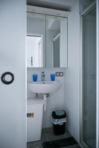 uma casa de banho com um lavatório e um espelho em Maison de Mamie em Blankenberge