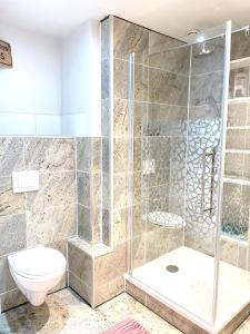a bathroom with a shower and a toilet at gérardmer plein centre idéal famille in Gérardmer +12 photos