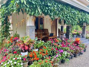 Flower Valley Plantation Homestay外面的花园