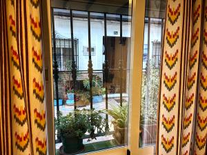 a window with curtains and potted plants on it at Anuli & Beach & Family - Fuengirola & Malaga in Fuengirola
