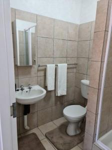 y baño con aseo y lavamanos. en Cosy apartment with secure parking, en Johannesburgo