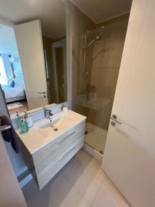 une salle de bain avec un lavabo et une douche dans l'établissement Luxury apartment 33th floor luxury district, à Santiago 63 autres photos