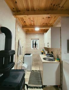 a small kitchen with a stove and a sink at Casa Vidica in Kopaonik