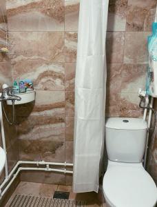 a bathroom with a toilet and a shower curtain at Casa Vidica in Kopaonik