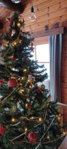 uma árvore de Natal com luzes num quarto em Le Numéro 12 - Chalet à Francorchamps em Malmedy