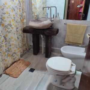 ein Bad mit einem WC und einem Waschbecken in der Unterkunft La Bohemia in Las Compuertas