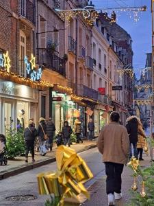 a group of people walking down a city street with christmas lights at QUAI 65 , 3 pièces sur le port, à 250 m de la rue piétonne et de la mer in Dieppe +18 photos