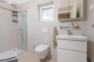 uma casa de banho com um WC, um lavatório e um chuveiro em Studio LOVOR in the Green Countryside of Central Istria em Tinjan