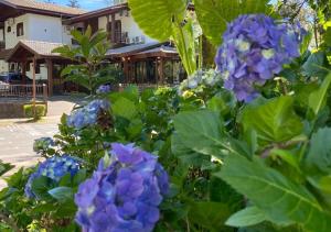 Zahrada ubytování Pousada Gramado