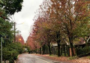 Fotografie z fotogalerie ubytování Pousada Gramado v destinaci Gramado