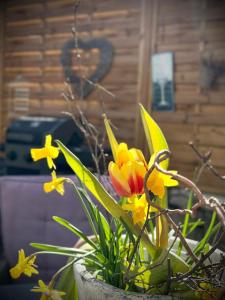 eine Vase voller gelber und oranger Blumen in der Unterkunft Ferienwohnungen Christina in Traben-Trarbach