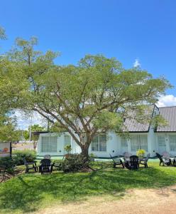 eine Gruppe von Stühlen unter einem Baum vor einem Gebäude in der Unterkunft Bungalows Bella Vista in Federación