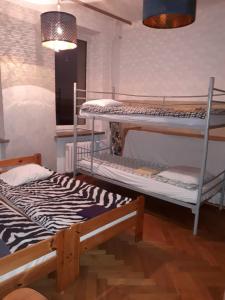 ワルシャワにあるCentral Warsaw Apartmentのシマウマのプリントラグが敷かれたドミトリールームの二段ベッド2台分です。