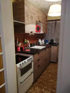 Kuchyňa alebo kuchynka v ubytovaní Appartement T2 Ax-les-thermes + 9 fotografií