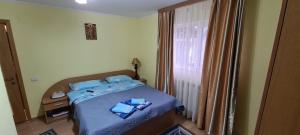 シナイアにあるVila cu Floriのベッドルーム1室(青いシーツと窓付)