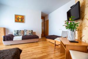 a living room with a couch and a tv at Blanka in Rowy