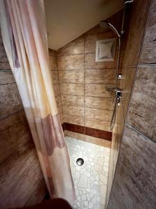 a bathroom with a shower with a shower curtain at Haus am Bach in Wagrain
