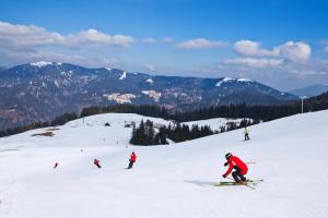 a group of people skiing down a snow covered slope at Apartment Island Country House in Savinja Valley in Žalec