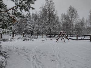 Kolorowe Wzgórze agroturystyka i konie v zime