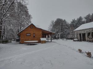 Kolorowe Wzgórze agroturystyka i konie v zime