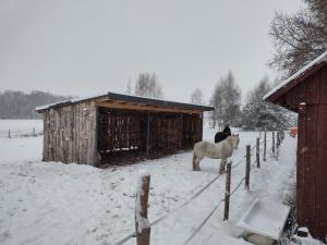 Kolorowe Wzgórze agroturystyka i konie v zime