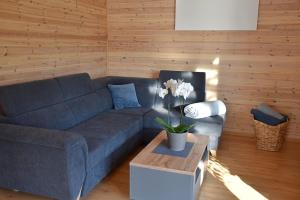 a living room with a blue couch and a table at Holiday Home Znojmo w/ Wellness & Wine in Znojmo +39 photos