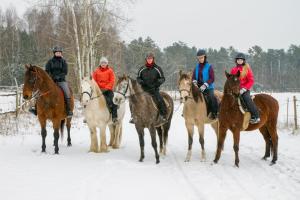Zvieratá v dovolenkovom dome alebo blízkom okolí