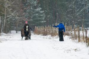 Kolorowe Wzgórze agroturystyka i konie v zime