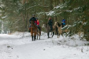 Zvieratá v dovolenkovom dome alebo blízkom okolí