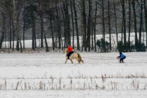Kolorowe Wzgórze agroturystyka i konie v zime