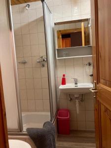 a small bathroom with a shower and a sink at B&B Chalet Rey-Bellet in Les Crosets +53 photos