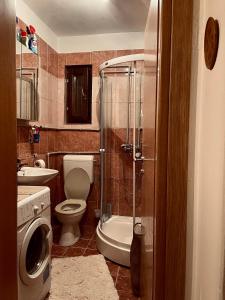 a bathroom with a shower and a toilet and a sink at Vikendica Paša in Pale