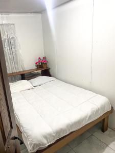 Cama blanca en habitación con ventana en Apartamento en Aguas Zarcas