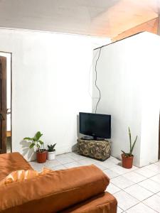ein Wohnzimmer mit einem Sofa und einem Flachbild-TV in der Unterkunft Apartamento in Aguas Zarcas
