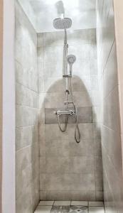 uma casa de banho com uma cabeça de chuveiro em L'escale Cocooning Appartement T2 Centre 3 Étoiles em Bagnères-de-Bigorre
