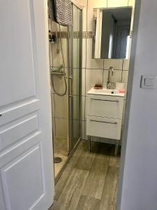 een badkamer met een douche, een wastafel en een spiegel bij Maisonnette de charme au calme près des bords de Marnes in Saint-Maur-des-Fossés