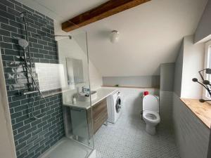 a bathroom with a toilet and a sink and a shower at Petite maison de charme in Dinsheim