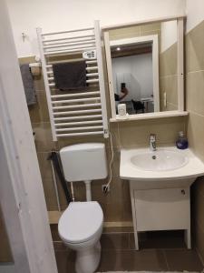 a bathroom with a toilet and a sink and a mirror at Schönes und offenes Appartement in Jüchen