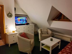 ein Wohnzimmer mit 2 Stühlen und einem TV in der Unterkunft Apartmán 6 u sjezdovek in Rokytnice nad Jizerou
