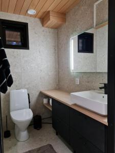 a bathroom with a white sink and a toilet at Huvila Hukanhuippu in Syöte