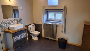 een badkamer met een toilet, een wastafel en een raam bij Les Mancelles in Condé-sur-Sarthe
