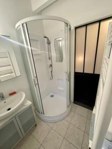 a bathroom with a shower and a sink at Au calme, maison T3 neuf avec Jardin à Cassy in Lanton