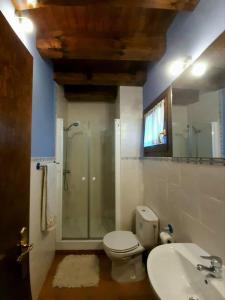 a bathroom with a shower and a toilet and a sink at NAVASA in Navasa