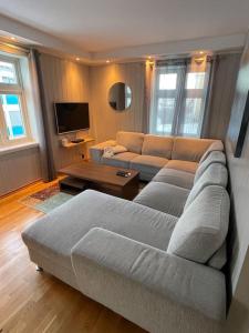 TV a/nebo společenská místnost v ubytování Skjomtind - Modern apartment with free parking