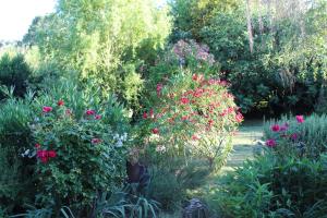 Vonkajšia záhrada v ubytovaní Mas Les Romarins, 10 min d'Uzès, piscine et grand jardin clos, jeux, nid de repos et base pour activités dans le Gard