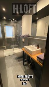 a bathroom with a sink and a toilet at H-Loft Style Apartments in Bad Lauterberg