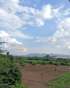 un campo con árboles y un cielo con nubes en ไร่ดง โฮมเสตย์, en Ban Pong Nua