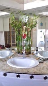 a bathroom counter with two sinks with flowers in jars at Maison du bonheur in Borgo